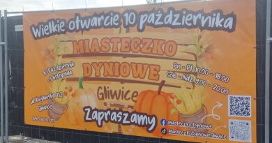 Dyniowe Miasteczko w Gliwicach